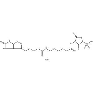 SULPHOSUCCINIMIDYL-6-(BIOTINAMIDO)HEXANOATE