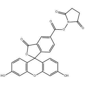 5-Carboxyfluorescein N-succinimidyl ester