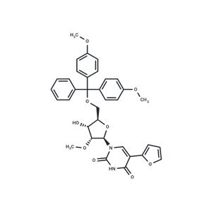 5-Furan-2-yl-2'-O-methyl-5'-O-DMT-uridine