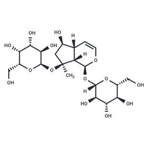 Rehmannioside C