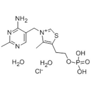 THIAMINE MONOPHOSPHATE CHLORIDE*DIHYDRAT E