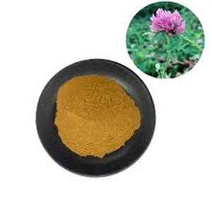 Red Clover Extract