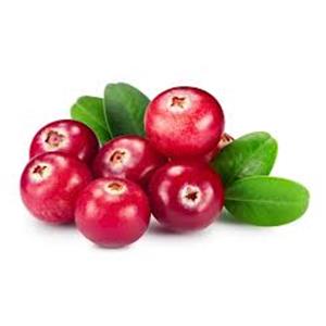 Cranberry Extract
