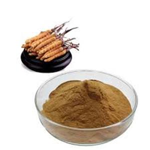 Cordyceps militaris Extract