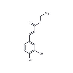 Ethyl trans-caffeate