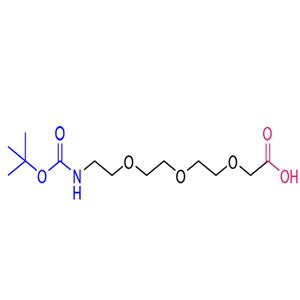 2,2-dimethyl-4-oxo-3,8,11,14-tetraoxa-5-azahexadecan-16-oic acid