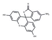 5-Aminofluorescein