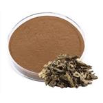 Black Cohosh Extract