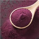 Bilberry Extract