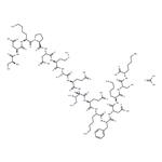 SDKPDMAEIEKFDKSK acetate