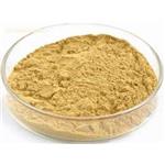 Millet Seed Extract