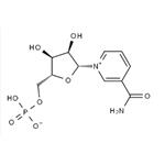 β-Nicotinamide Mononucleotide