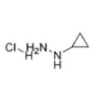 cyclopropylhydrazine hydrochloride