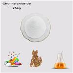 67-48-1 Choline chloride