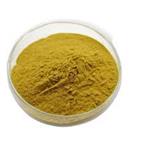 Bladderwrack Extract