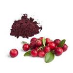 Cranberry Extract