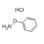 O-PHENYLHYDROXYLAMINE HYDROCHLORIDE