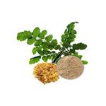 Boswellia Extract