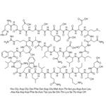 197922-42-2 Teduglutide