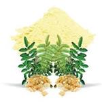 Boswellia Extract