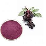 Elderberry Extract