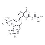 N2-iBu-2',3'-bis-O-TBDMS ? guanosine