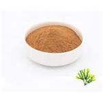 Bladderwrack Extract