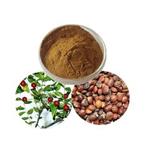 Zizyphus spinosa extract