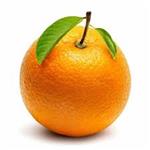 Citrus Aurantium Extract