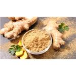 Ginger Extract