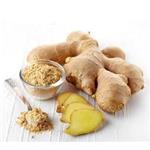 Ginger Extract
