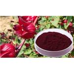  Roselle Extract