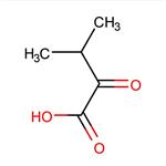 3-METHYL-2-OXOBUTYRIC ACIDDISCONTINUED