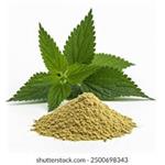 Nettle Extract