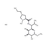 21462-39-5 Clindamycin hydrochloride