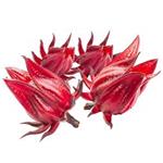  Roselle Extract