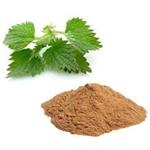 Nettle Extract
