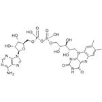146-14-5 Flavin adenine dinucleotide