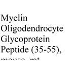 MOG peptide (35-55), mouse, rat acetate