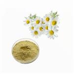 Chamomile Extract