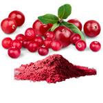 Cranberry Extract