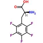 2,3,4,5,6-Pentafluoro-L-phenylalanine