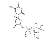  Deoxythymidine-5'-triphosphate trisodium