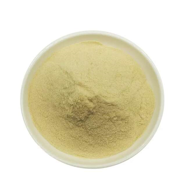 Pyridoxal 5-phosphate Monohydrate(PLP)