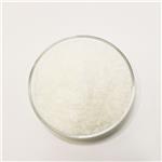 Arginine/Lysine Polypeptide