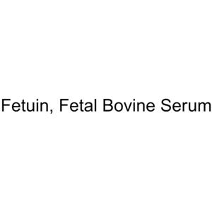 Fetuin (Fetal Bovine Serum)