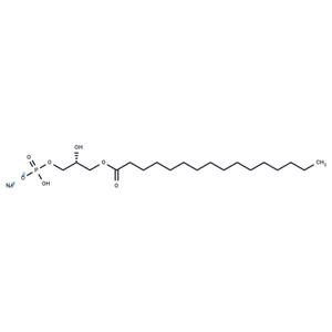 1-Palmitoyl Lysophosphatidic Acid (sodium salt)
