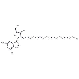 2'-O-Hexadecanyl-2-aminoadenosine