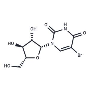 5-Bromoarabinouridine