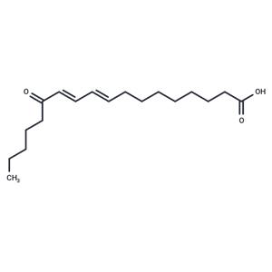 13-Oxo-9E,11E-octadecadienoic acid